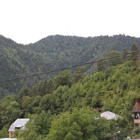 Mariko Hotel Bordzjomi Buitenkant foto