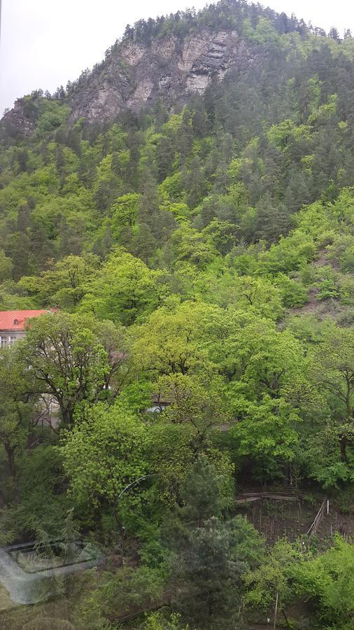 Mariko Hotel Bordzjomi Buitenkant foto